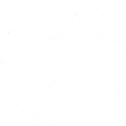 Phoenix-opleidingen-logo.png