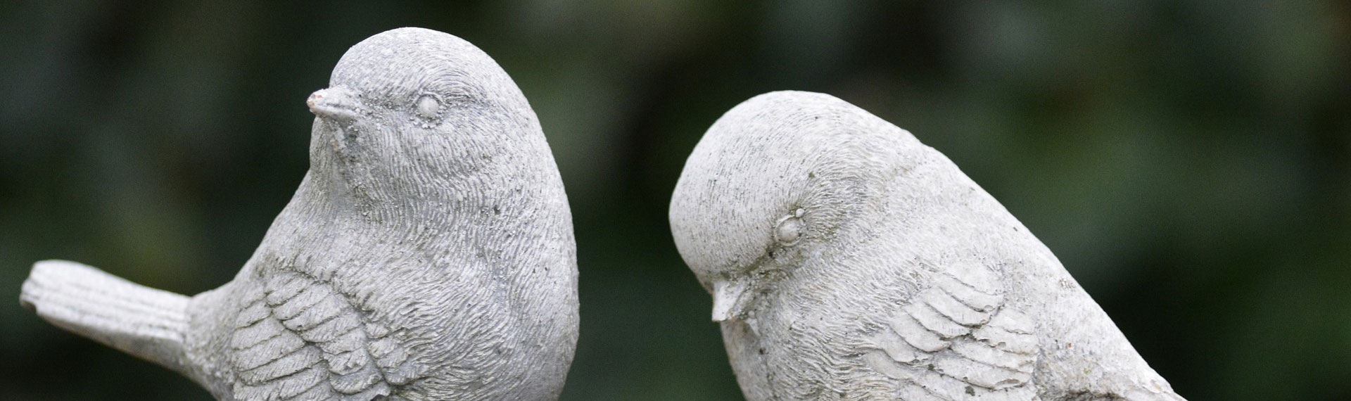 Good Spirit -info-2.jpg