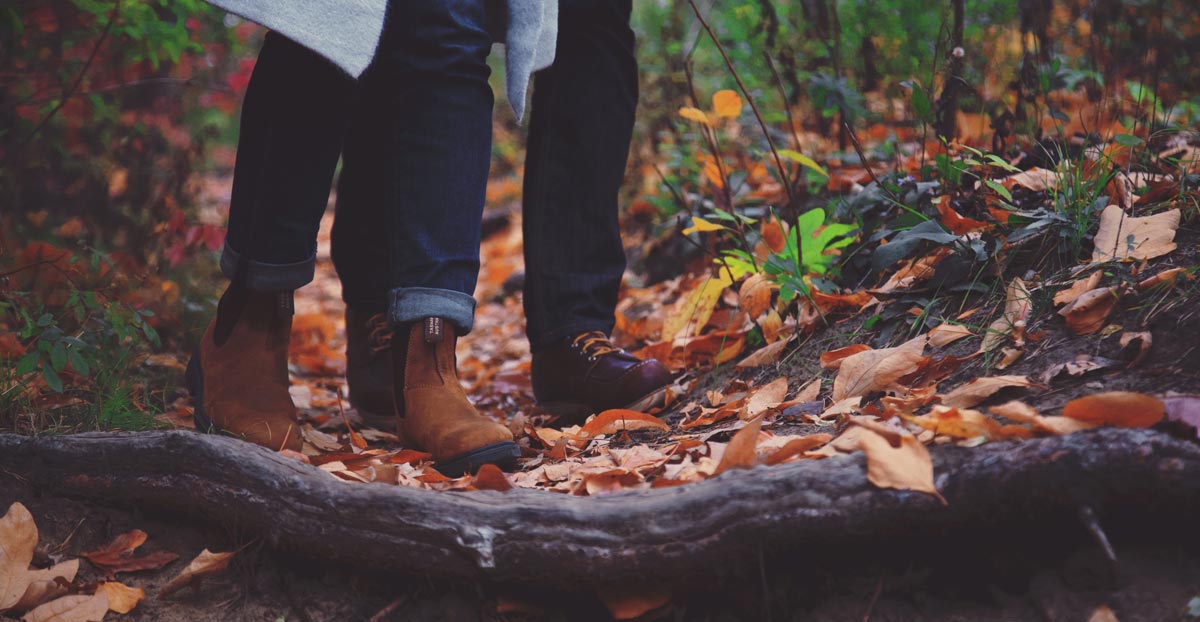 Wandelcoaching Hilversum